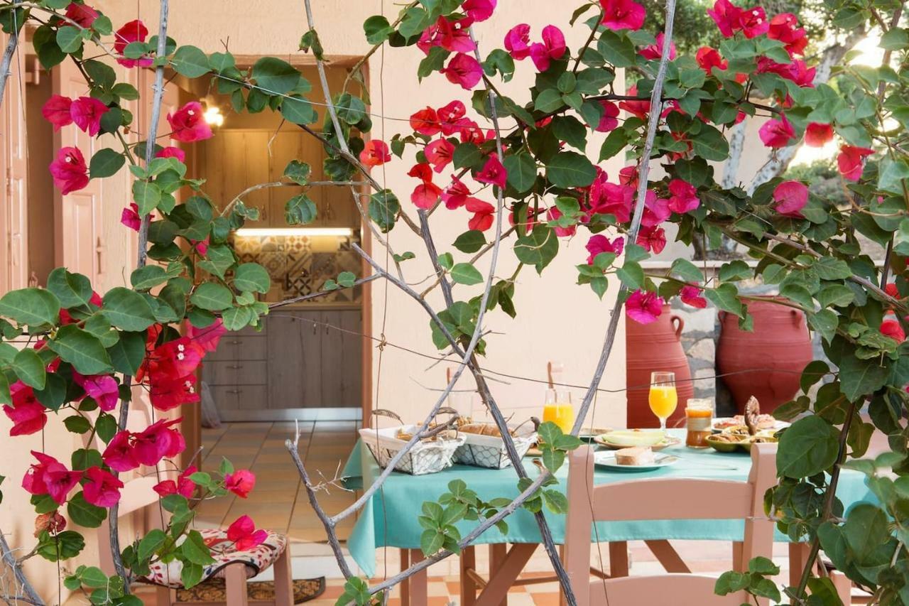 White Sand Villa. Spacious Villa With Prive Pool. Agia Pelagia  Extérieur photo
